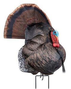 Primos Photoform Strutter Turkey Species