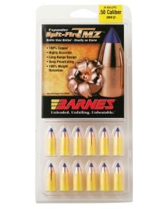 Barnes Bullets Spit-Fire TMZ  50 Cal 290 GR 24