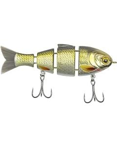 Catch Co. Mike Bucca's Baby Bull Shad Golden Shiner 10-01-CCO-10000C 