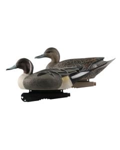 Avery Greenhead Gear Oversize Pintails 6-Pack