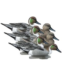 Hidgon Standard Pintail Duck Decoys - 6-Pack
