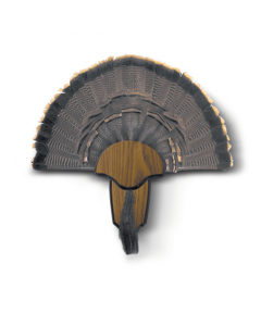 Hunter Specialties Strut Turkey Tail & Beard Mounting Kit