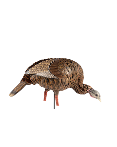 Avian-X HDR Feeding Hen Turkey Decoy